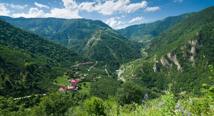 En Ucuz Karadeniz Turunu Nasıl Bulacaksınız?